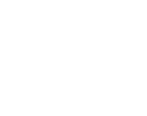 Chernoff Newman Logo